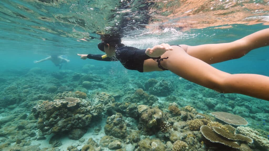Snorkeling at Dry Tortugas